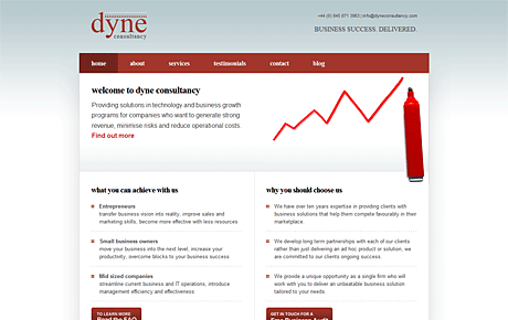 Dyne Consultancy website screenshot