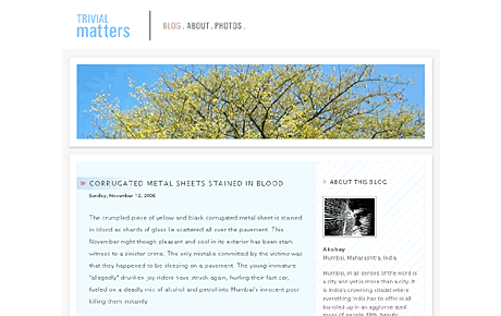 Trivial Matters website screenshot